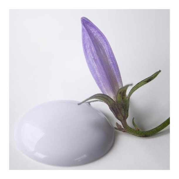 Faded Lavender - mat kalk maling - lys lilla