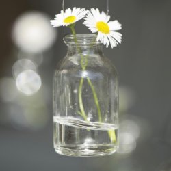 Mini flaske i glas med ophæng - så fin på en forårsgren med små blomster i